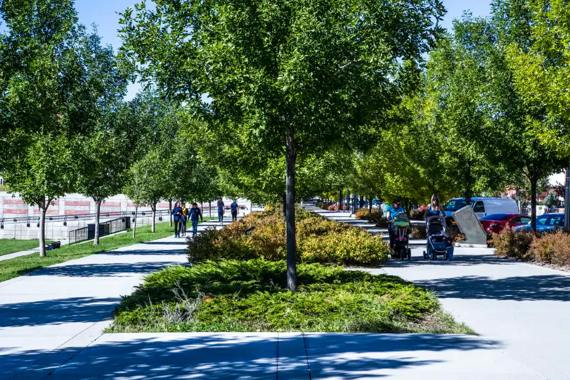 A residential street in Bridgeland/Riverside